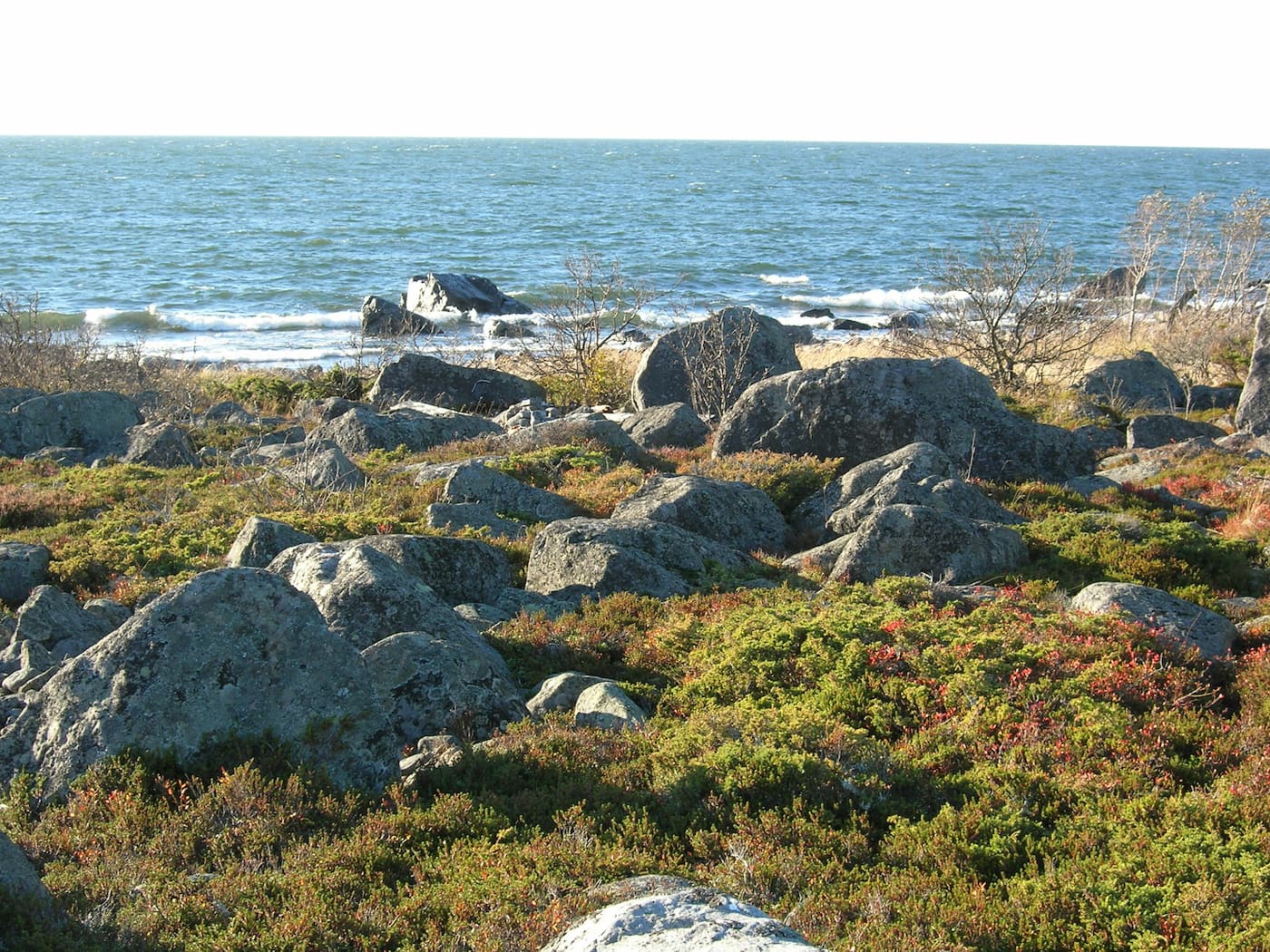 Klippig strandlinje med spridda stenblock, låg vegetation och glesa buskar vid ett lugnt hav under en klar himmel.